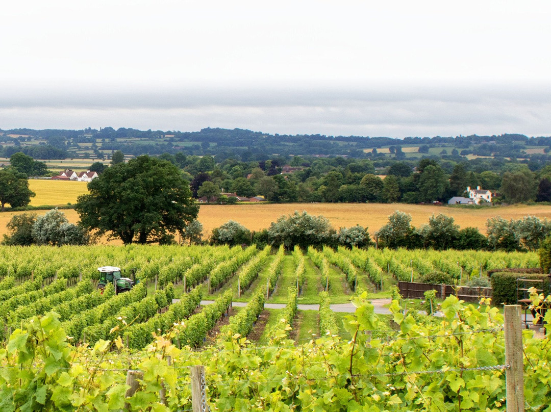 Halfpenny Green Wine Estate景点图片