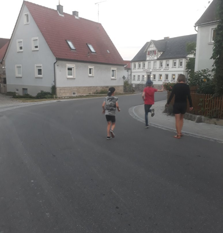 Landgasthof Zum Schwarzen Adler主图