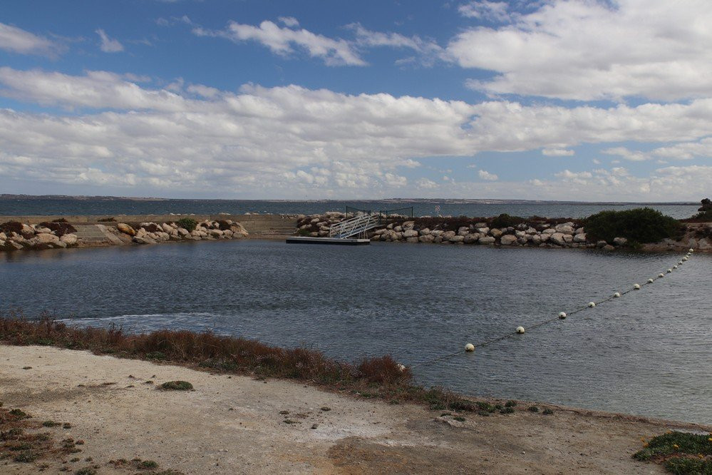Kingscote Tidal Pool景点图片