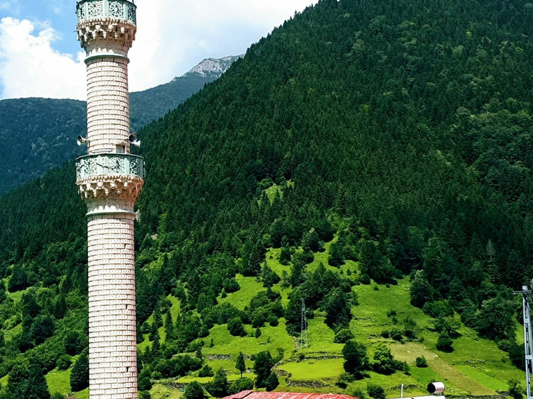 Pervanoglu Dinlenme Tesisi Motel主图
