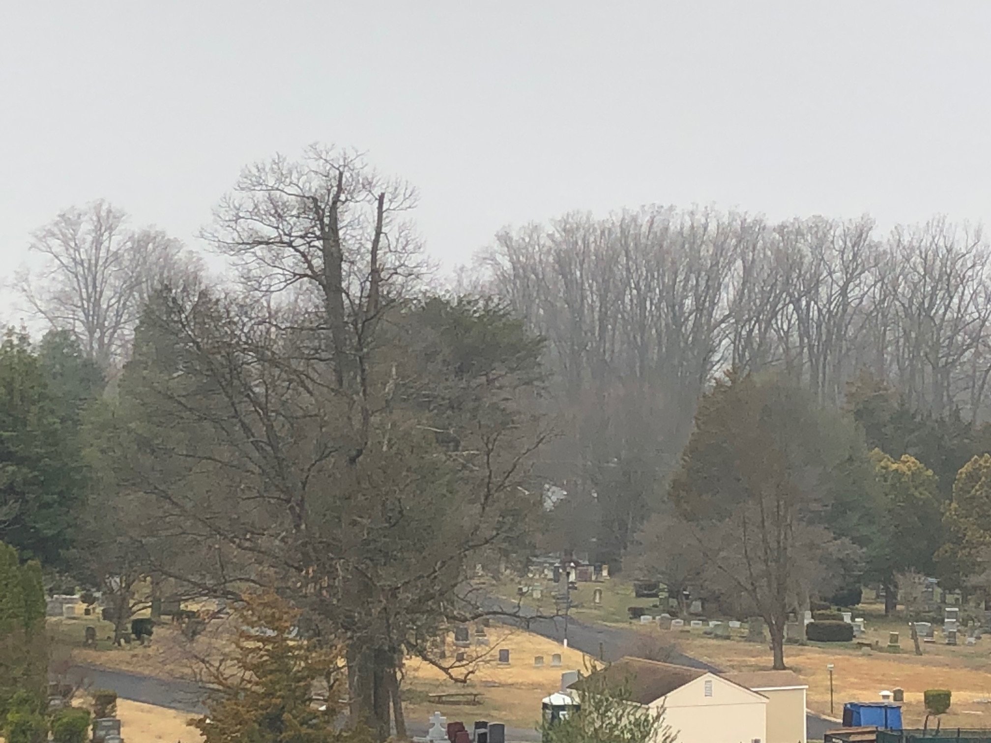 Oakwood Falls Church-浴室