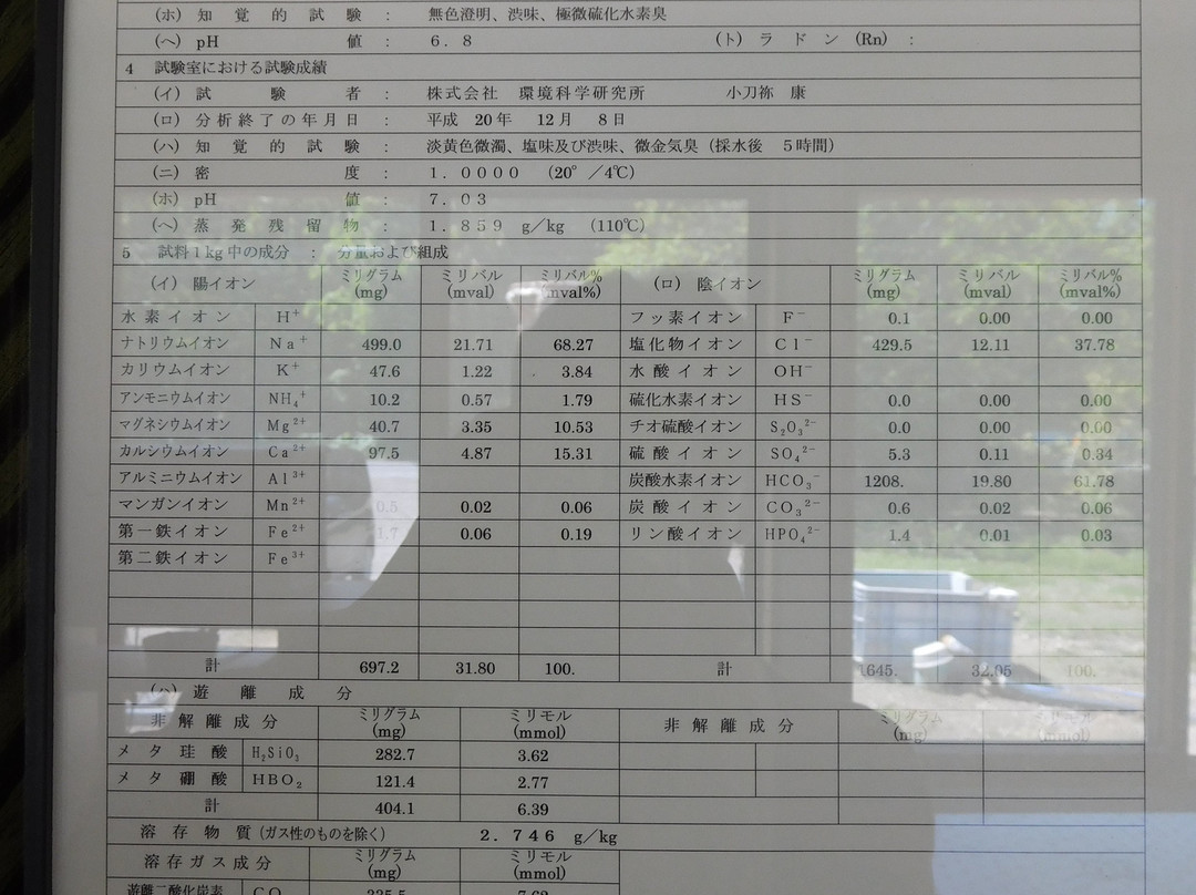 Onsen Ryokan Mikansei主图