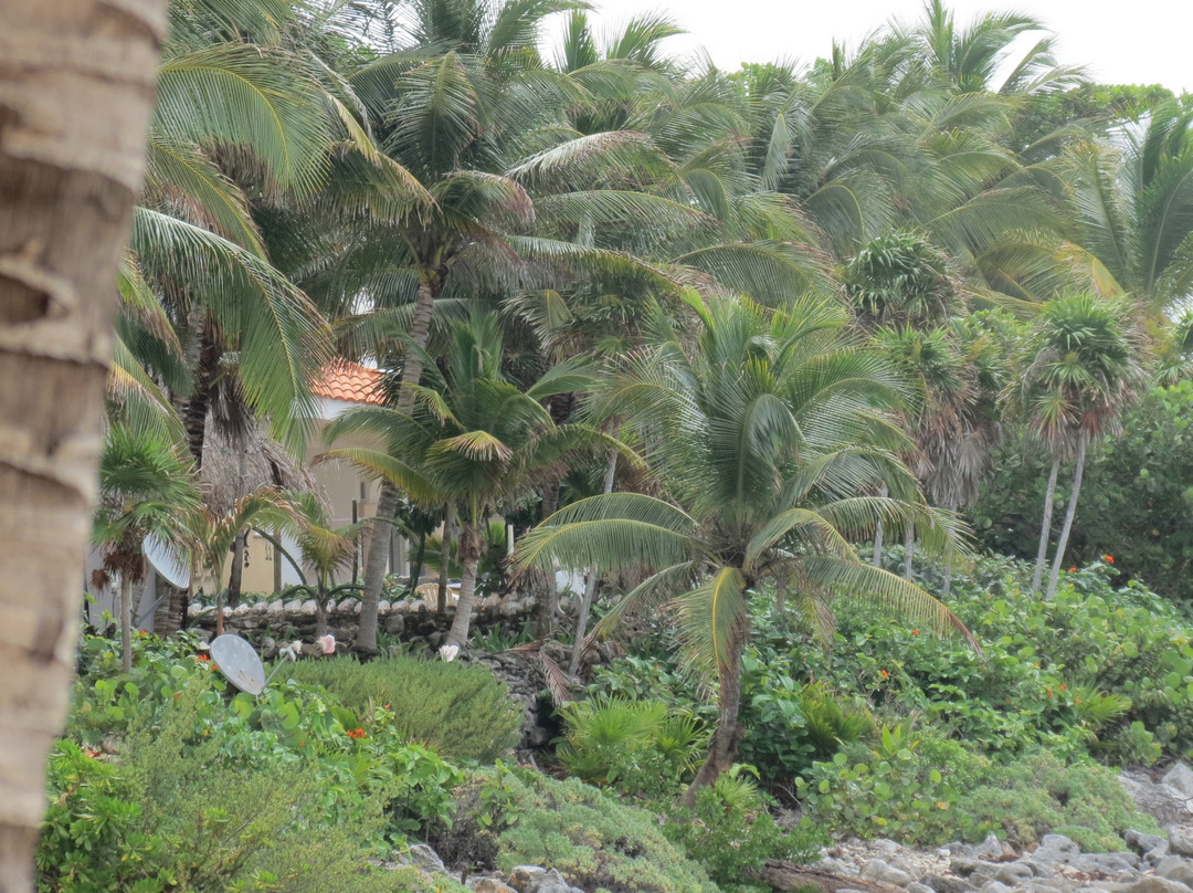 Paamul Beach景点图片