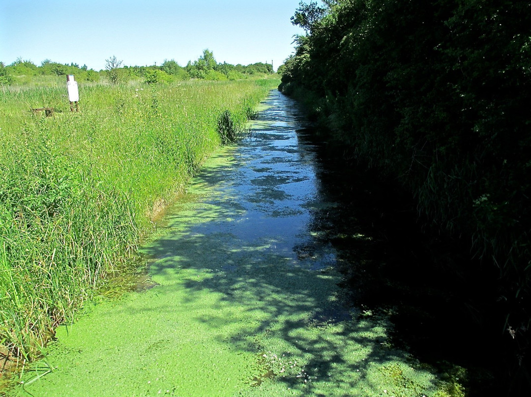 Fiskerton Fen景点图片