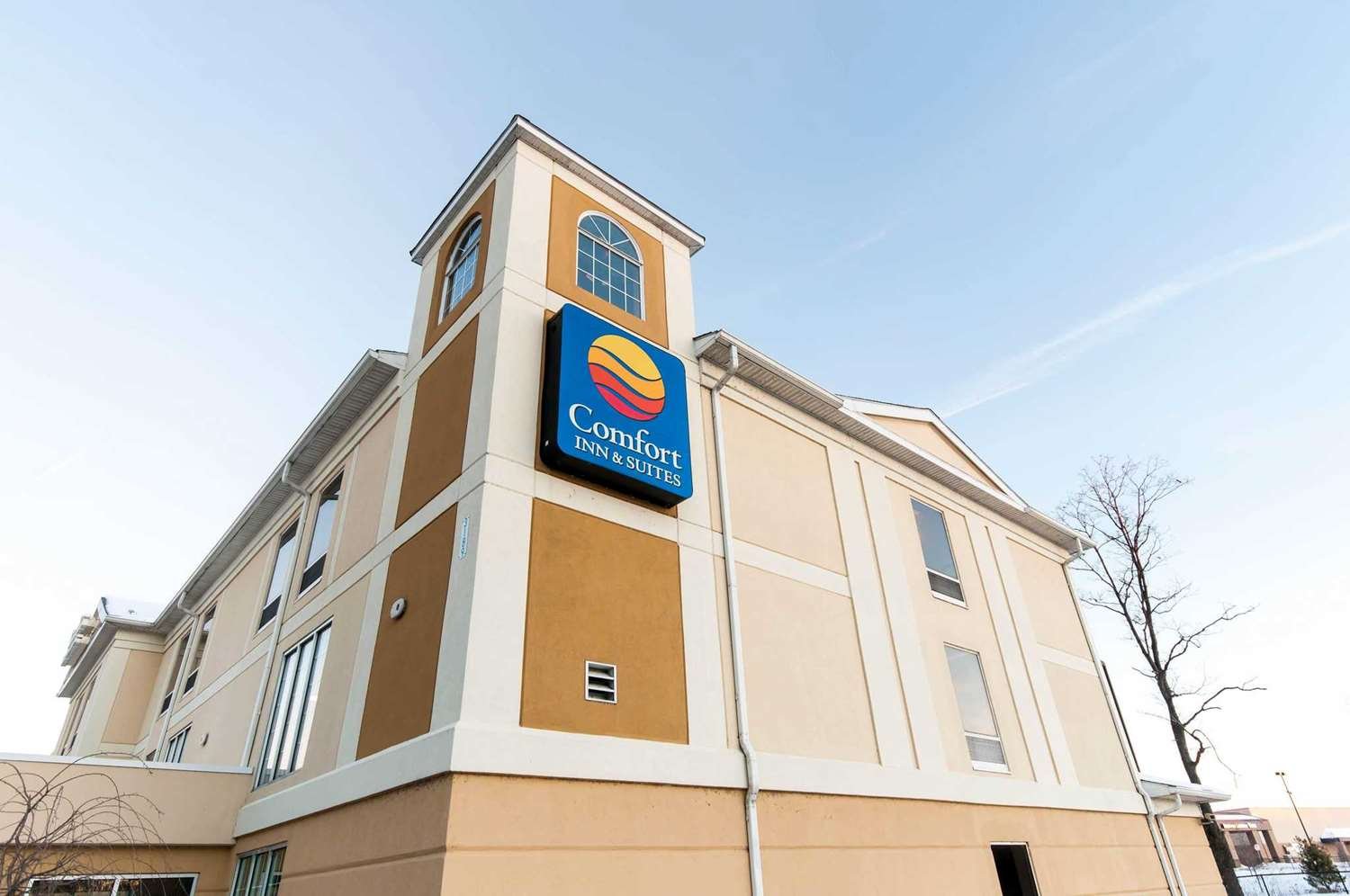 Comfort Inn & Suites-官方