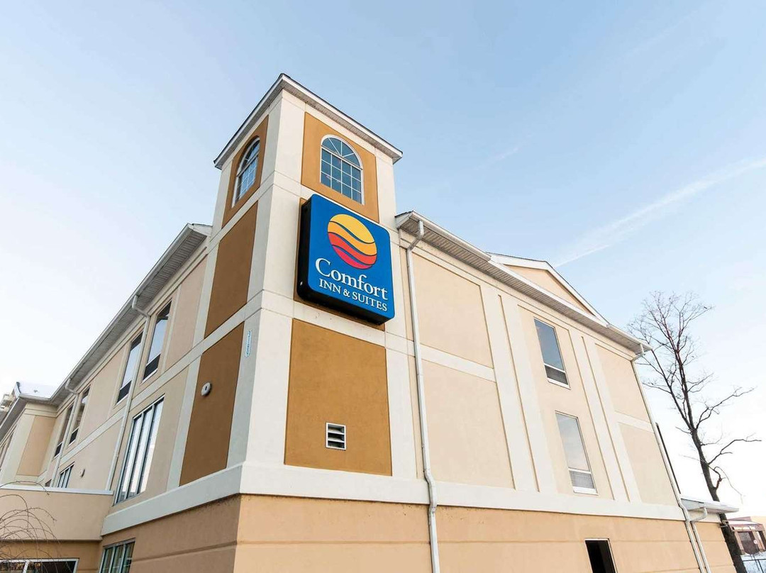 Comfort Inn & Suites主图