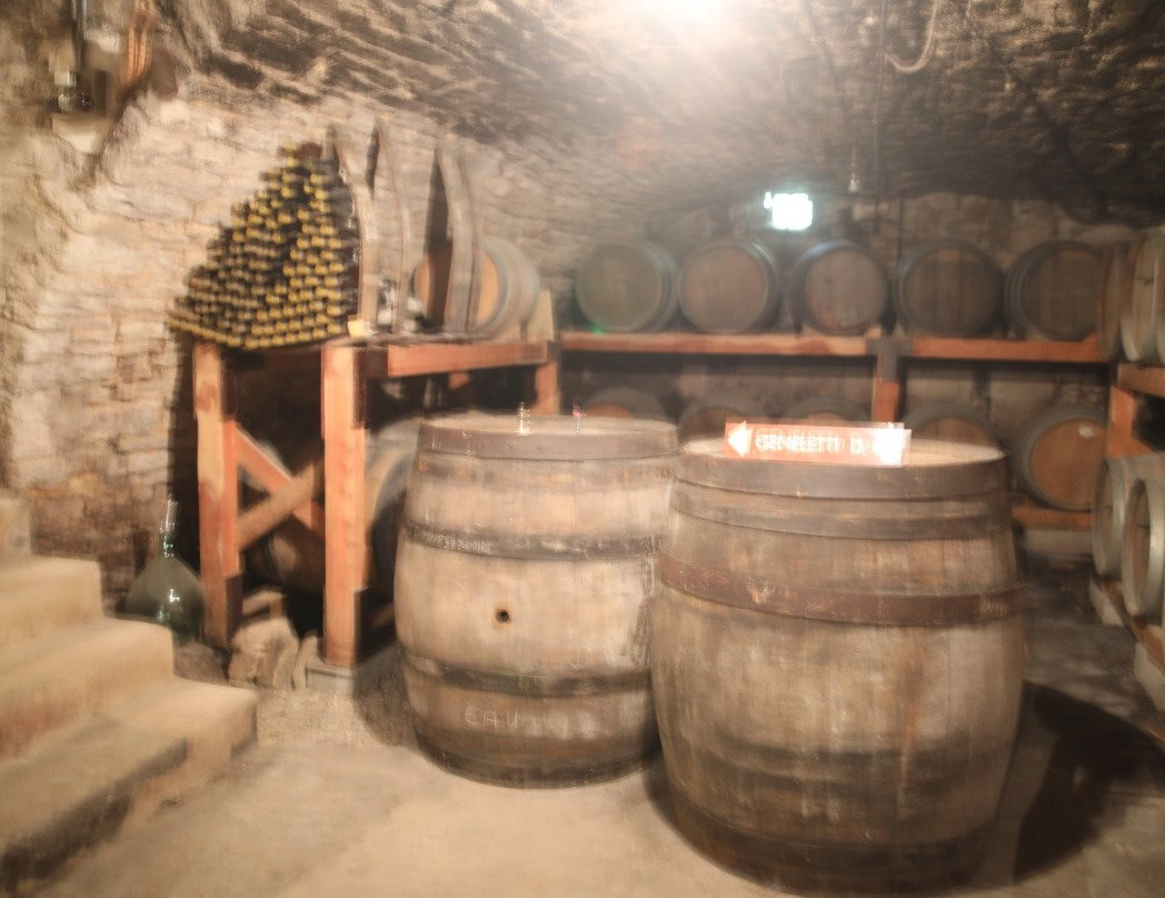Domaine Geneletti景点图片