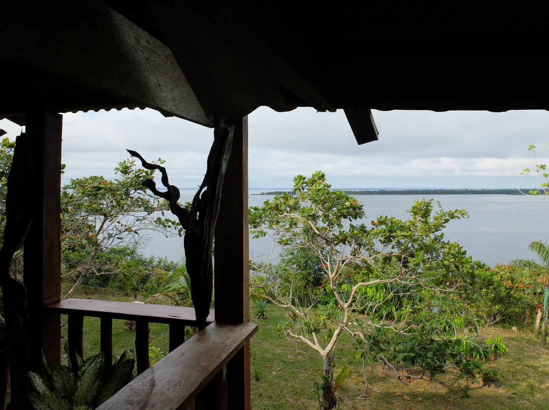 Amazonas Nature Tours & Lodge