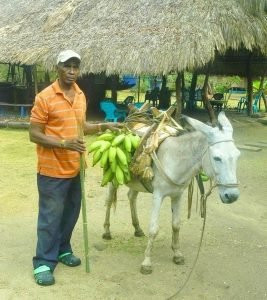 Viento Solar Reserva Natural主图