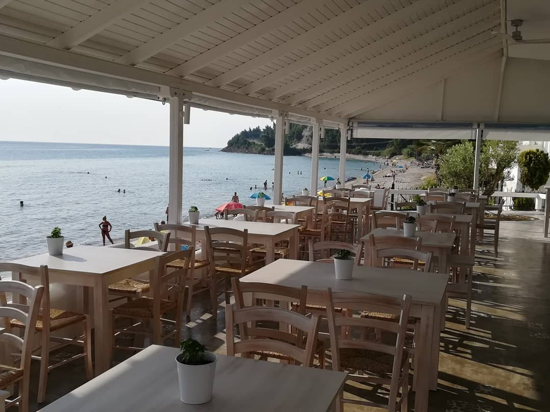 Fourka餐馆和美食-Ippokampos