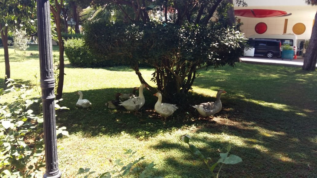 Sibirsky酒店住宿-Otdykhalov na Kalinina