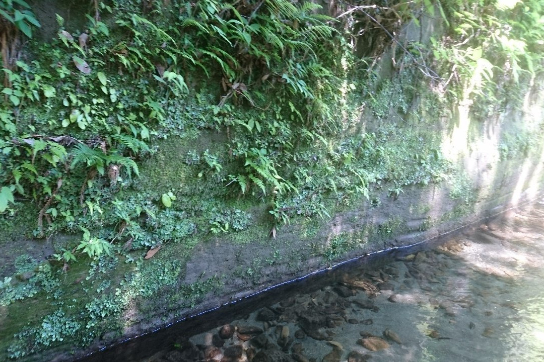 Umegase Valley-市原市必去景点