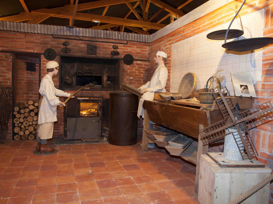Conservatoire des Métiers d'Autrefois景点图片