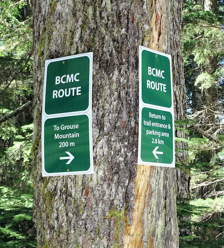 BCMC Trail-北温哥华必去景点
