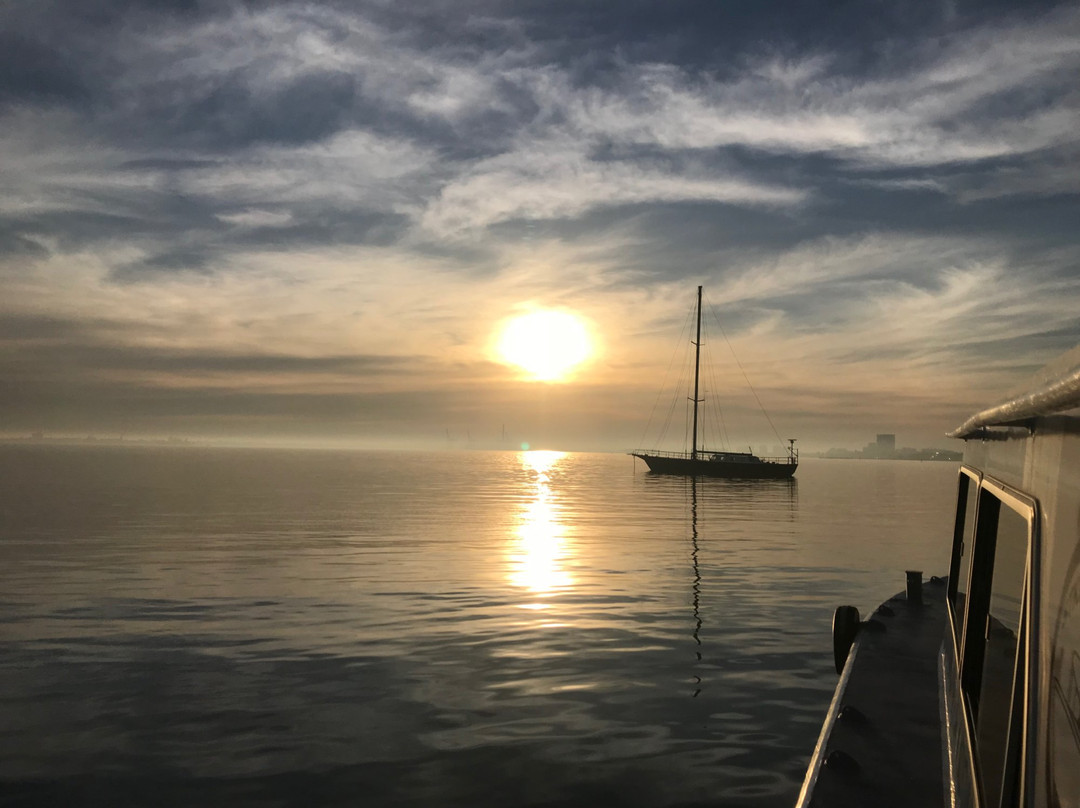 St Kilda Ferry景点图片