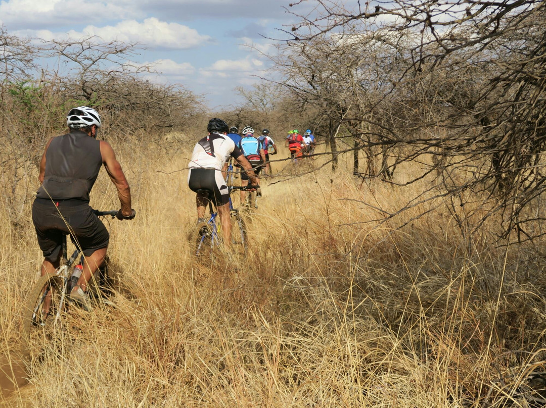 Kili Bike Adventures景点图片