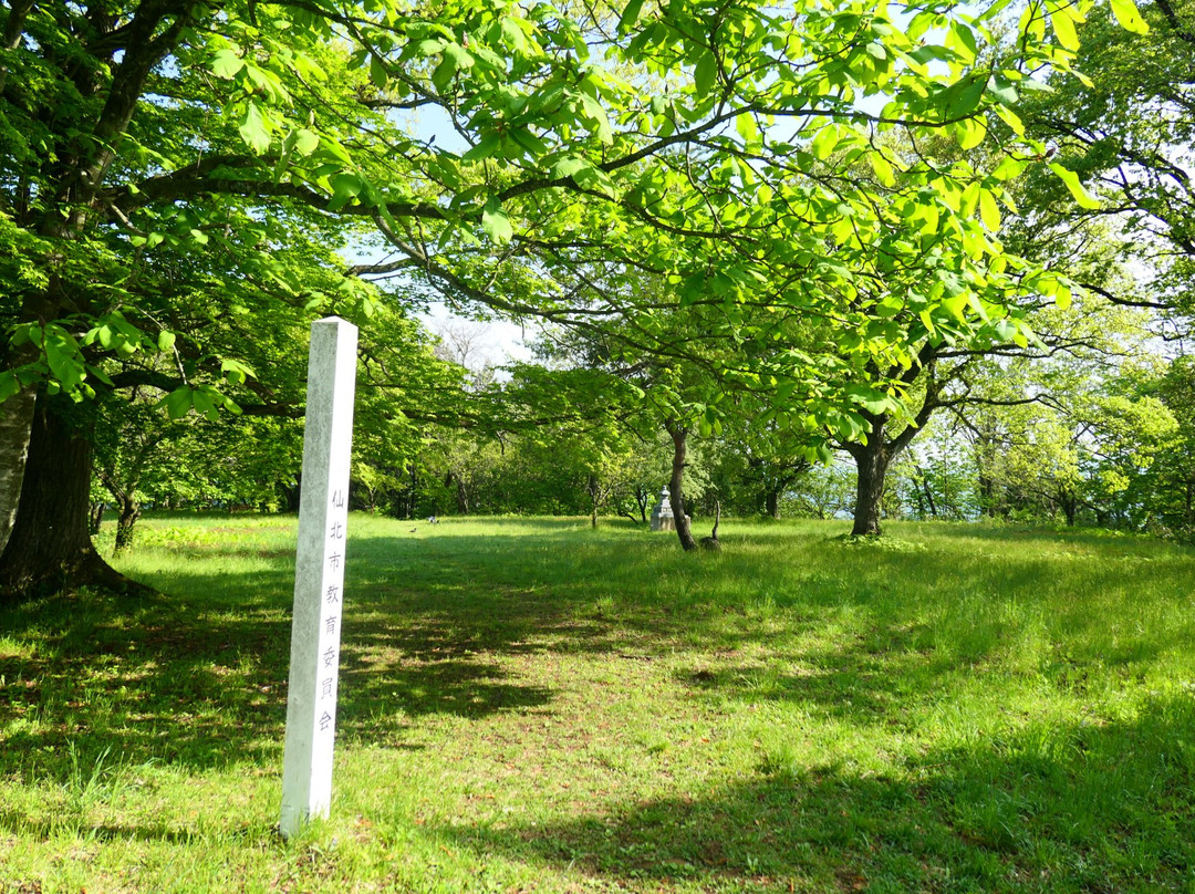 Furushiroyama Castle Ruins (Furushiroyama Park)景点图片