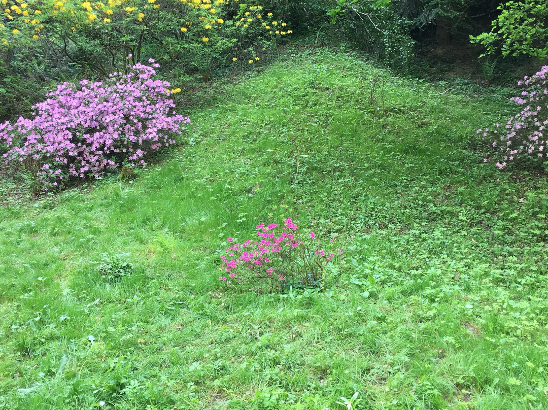 Azalea Valley景点图片