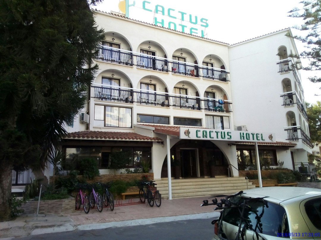 仙人掌酒店主图