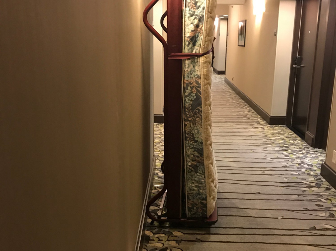 奥尔巴尼希尔顿酒店主图
