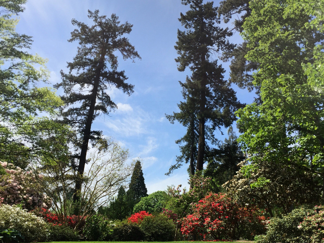 Crystal Springs Rhododendron Garden景点图片