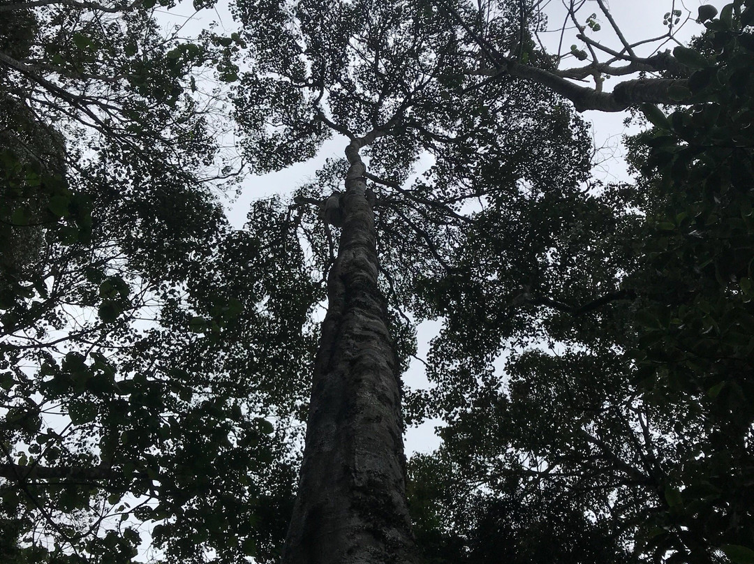 Kereita Cave and Waterfall-阿伯德尔国家公园必去景点