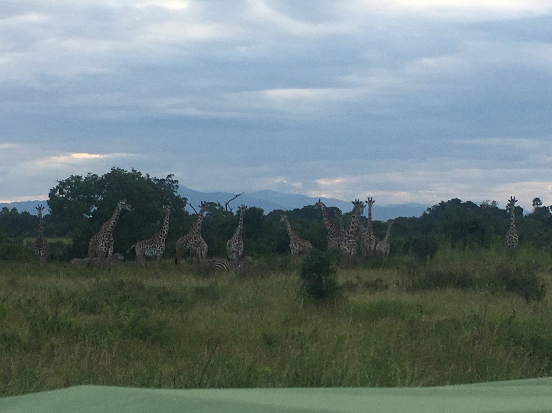 Hisia Safaris-纳库鲁必去景点