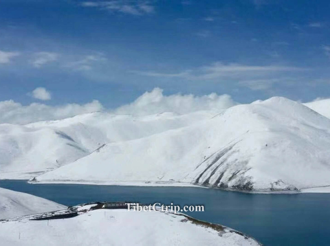 Tibet Ctrip Travel Service-TCTS景点图片