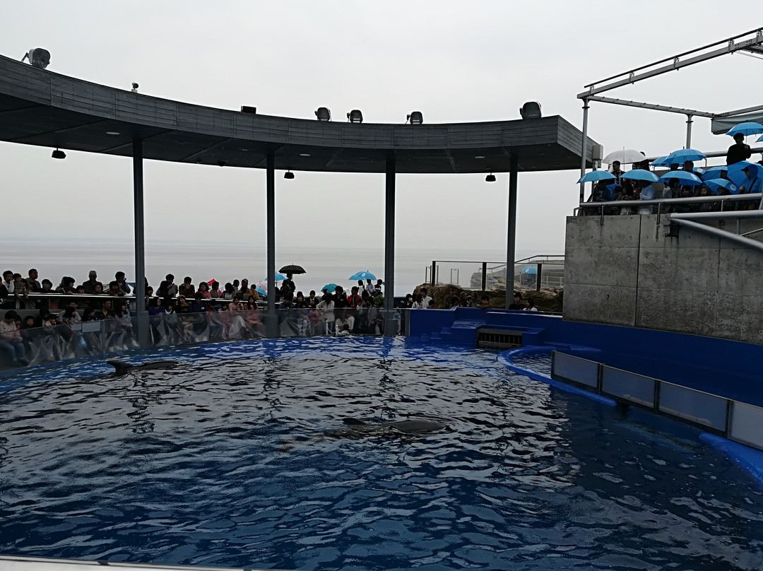 Oita Marine Palace Aquarium Umitamago景点图片
