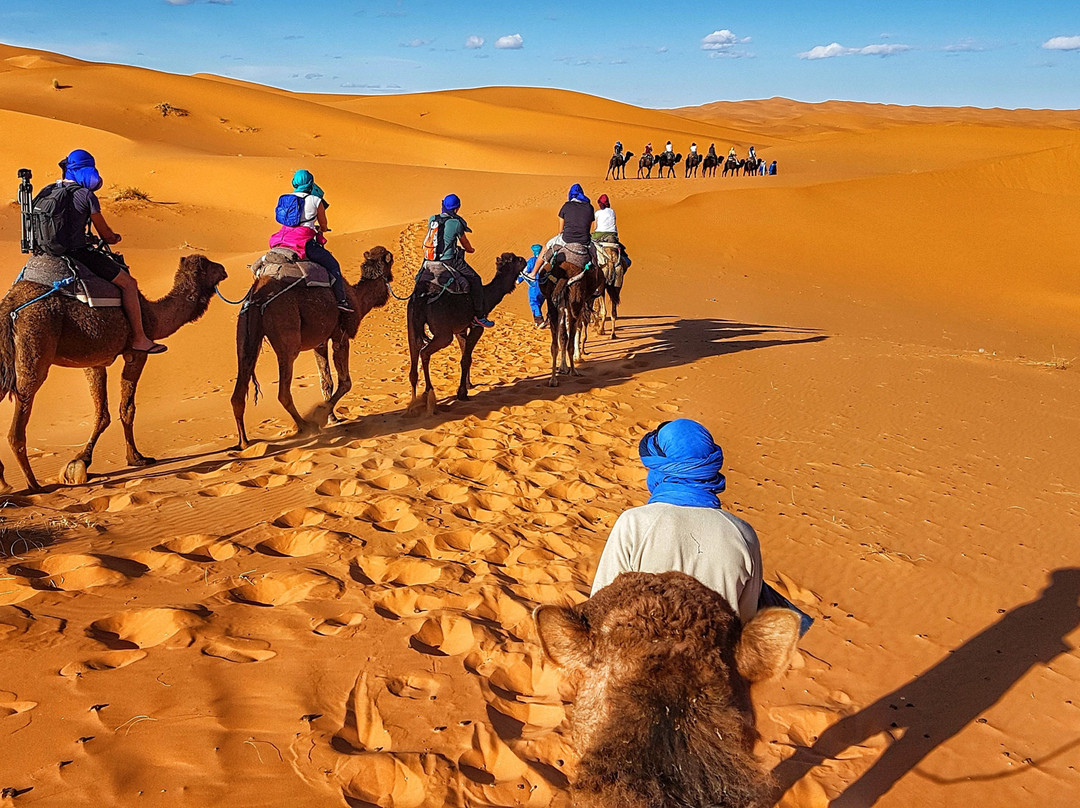 Morocco Gate Tours-非斯必去景点