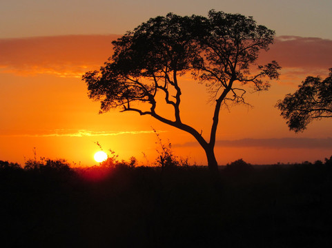 Bubezi Safaris, Tours & Transfers-雾观必去景点