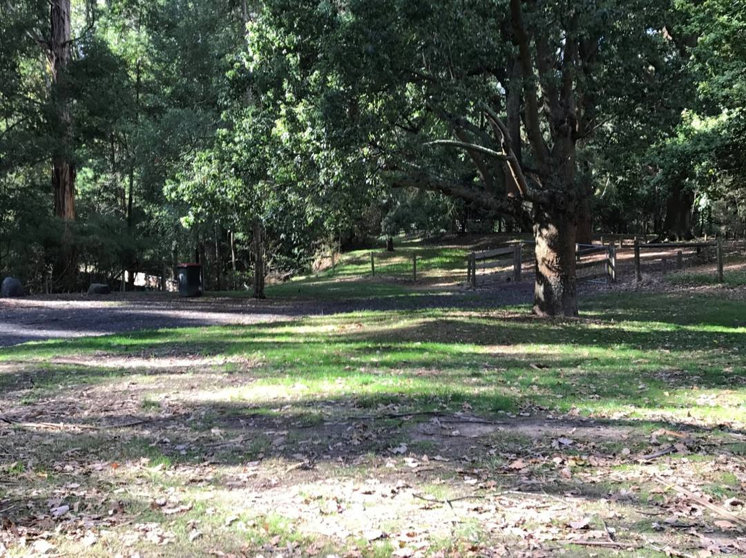 Korumburra Botanic Park-科伦布拉必去景点