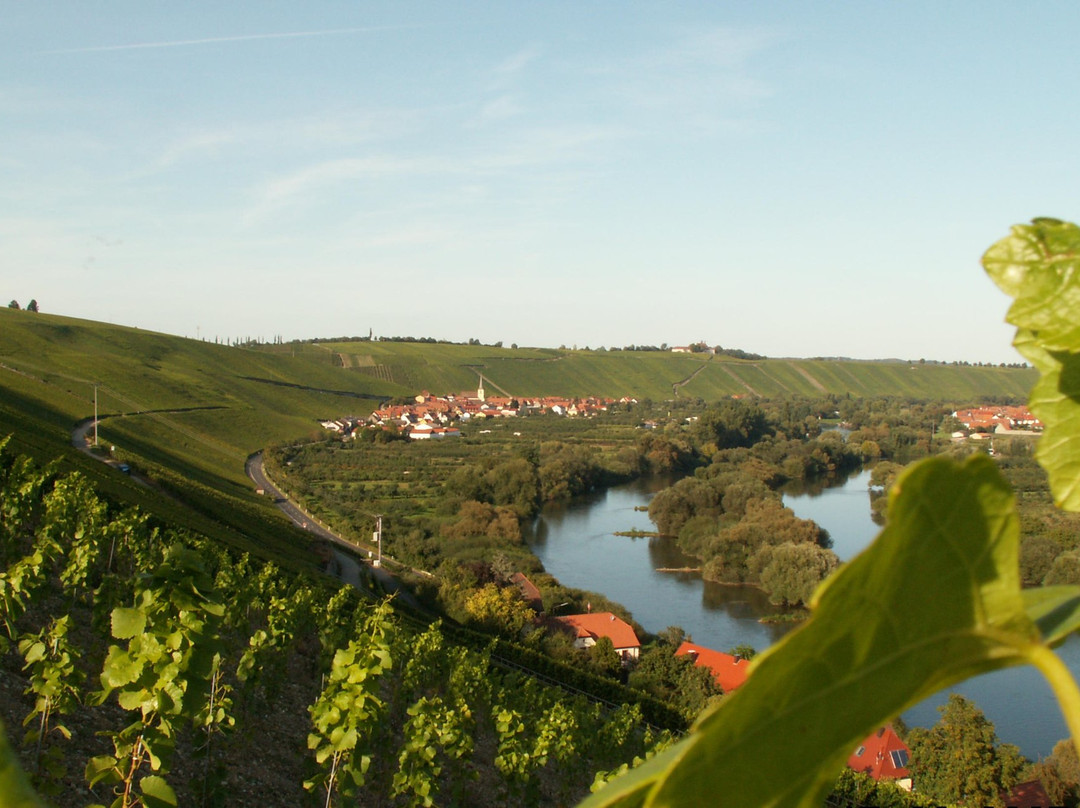 Weingut Horst Sauer景点图片