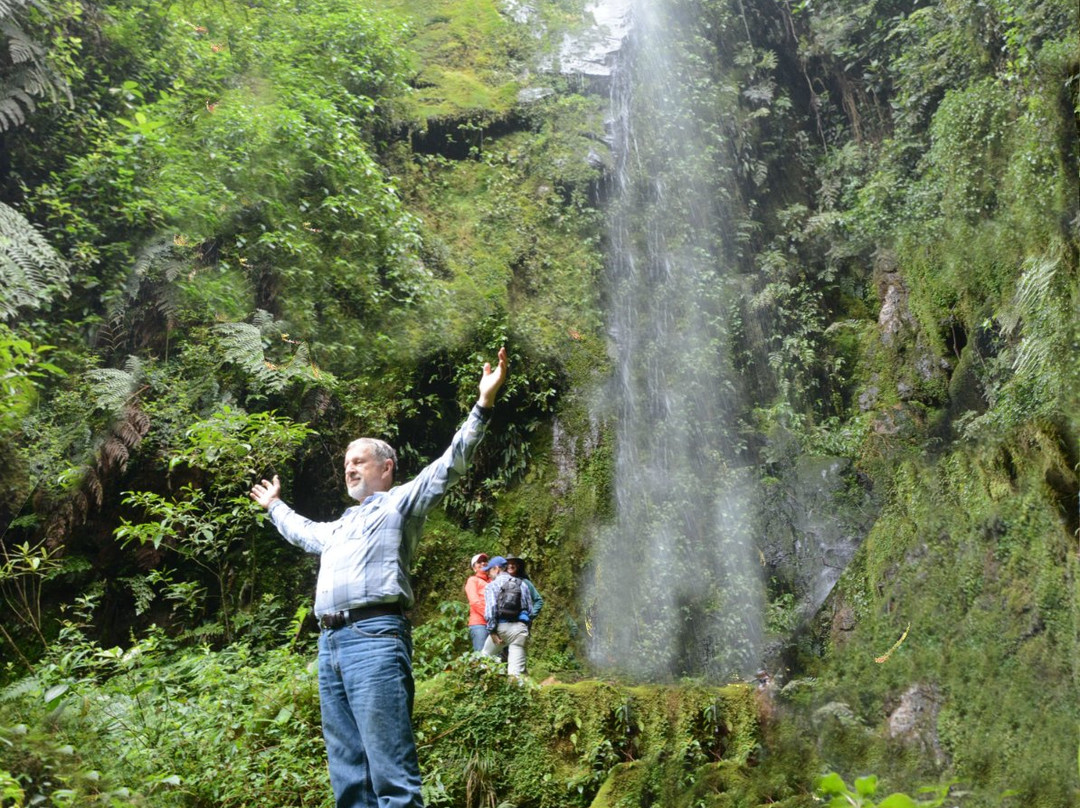 Parque Natural Los Tunos景点图片
