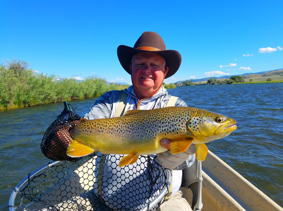 Montana Trout Angler景点图片