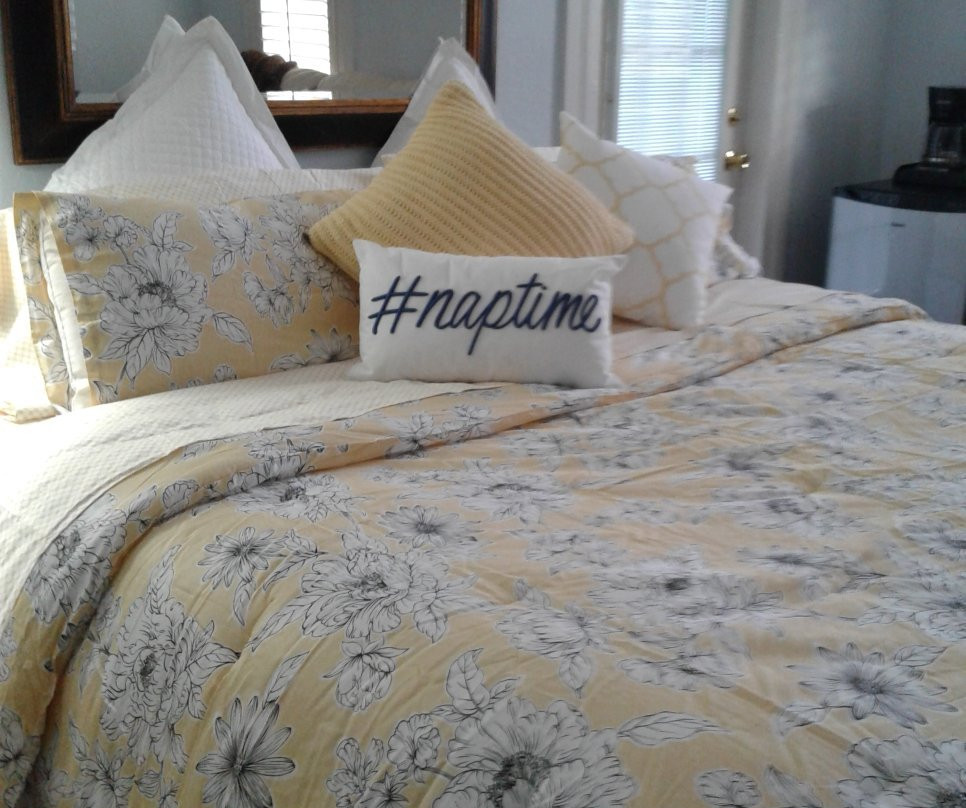 Angel's Nest Bed and Breakfast主图