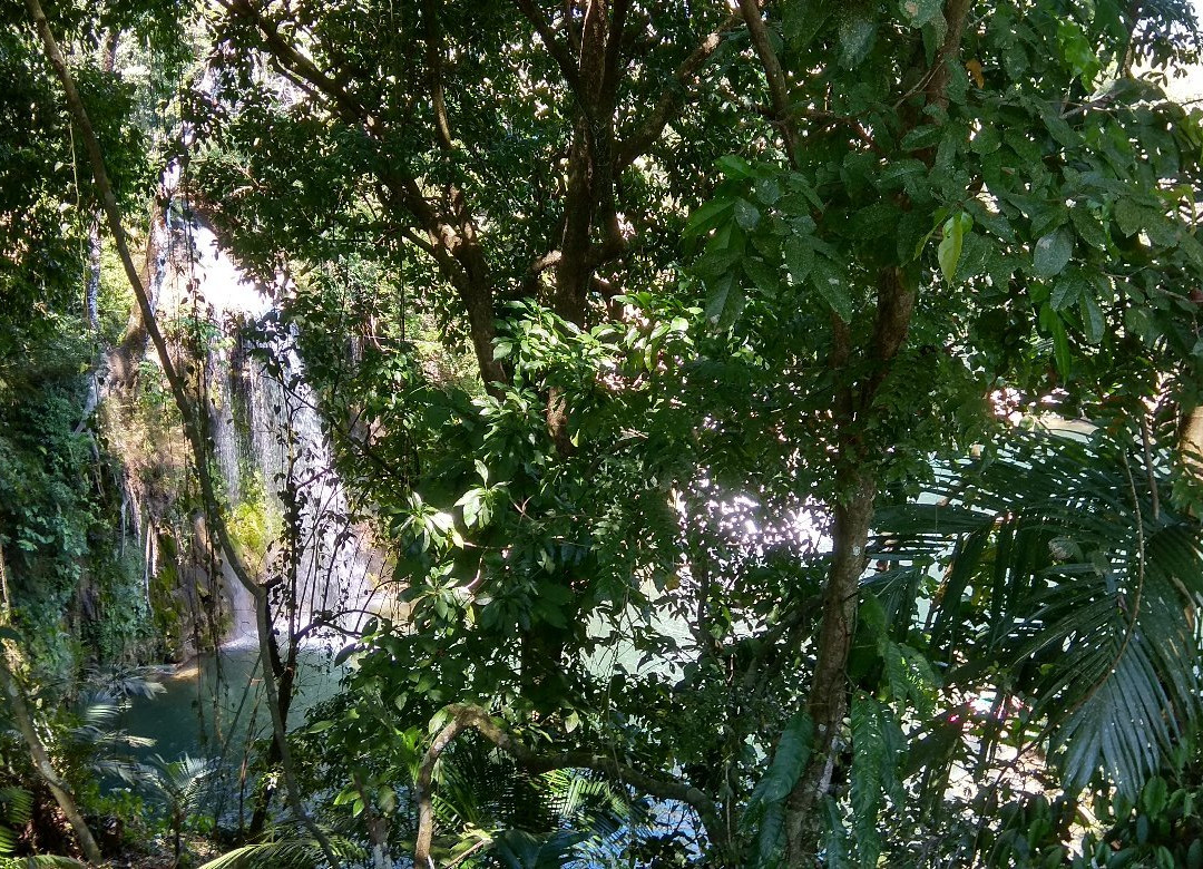 Welib Ja Waterfalls-帕伦克必去景点