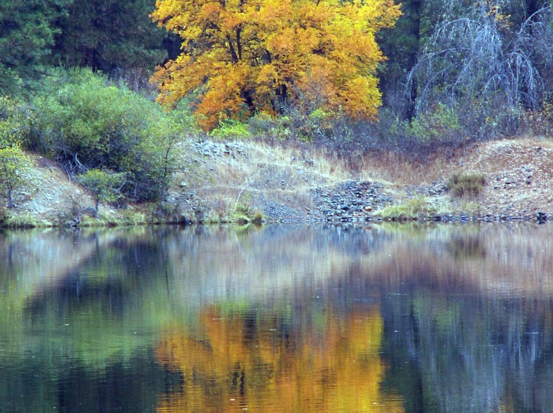 Old Bridge Rafting-Lewiston必去景点