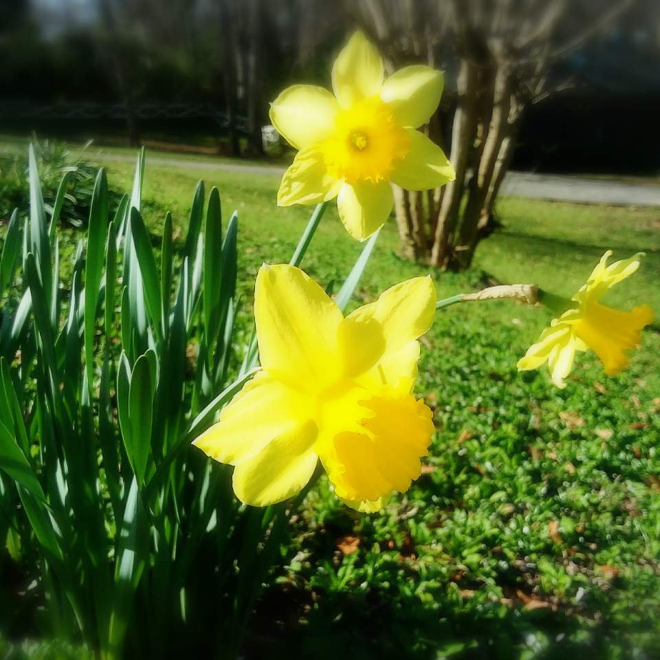 Hogan House at Rose Hill Bed & Breakfast-官方