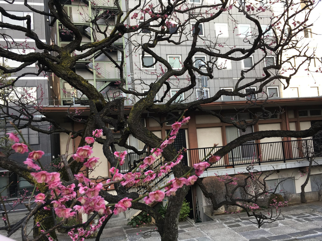 Komyo-ji Temple景点图片