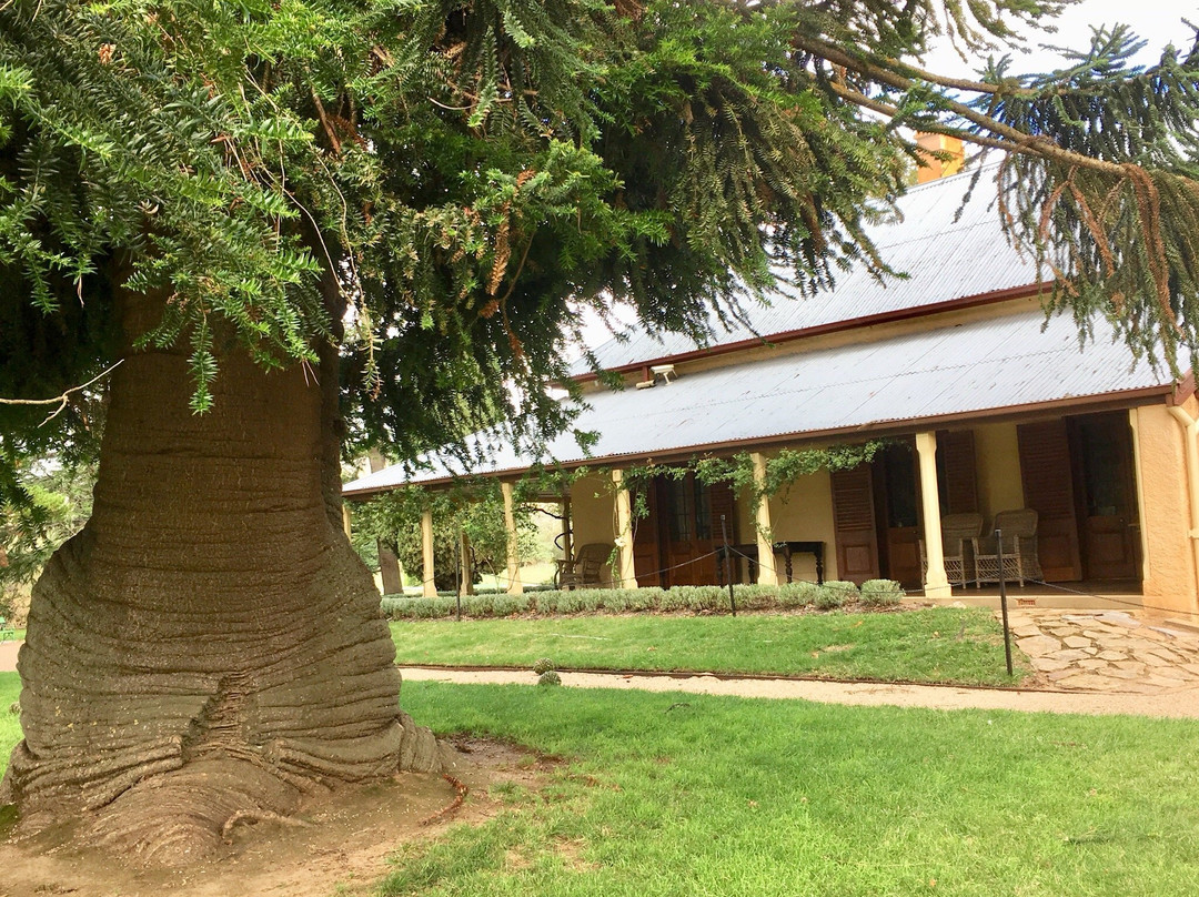 Paddys River餐馆和美食-The Barracks Lanyon Homestead