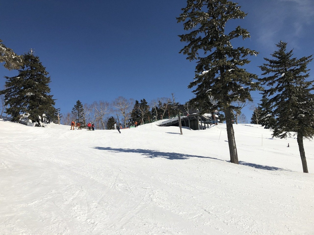 Manza Onsen Ski Place景点图片