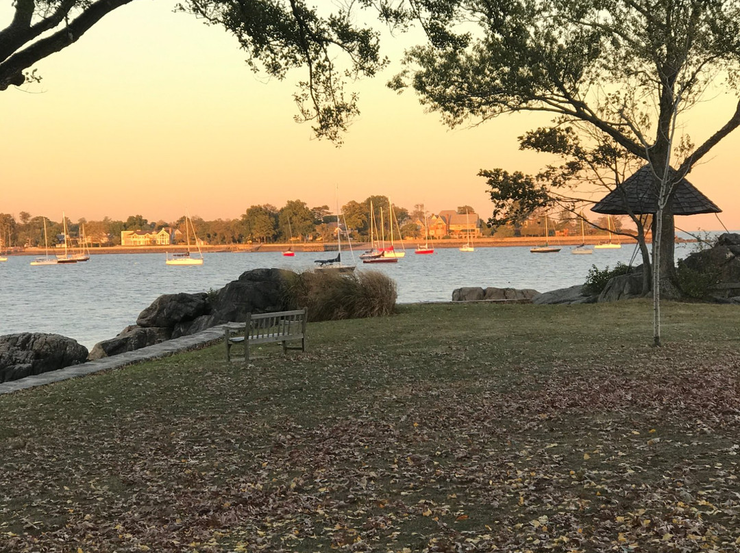 Manor Park景点图片