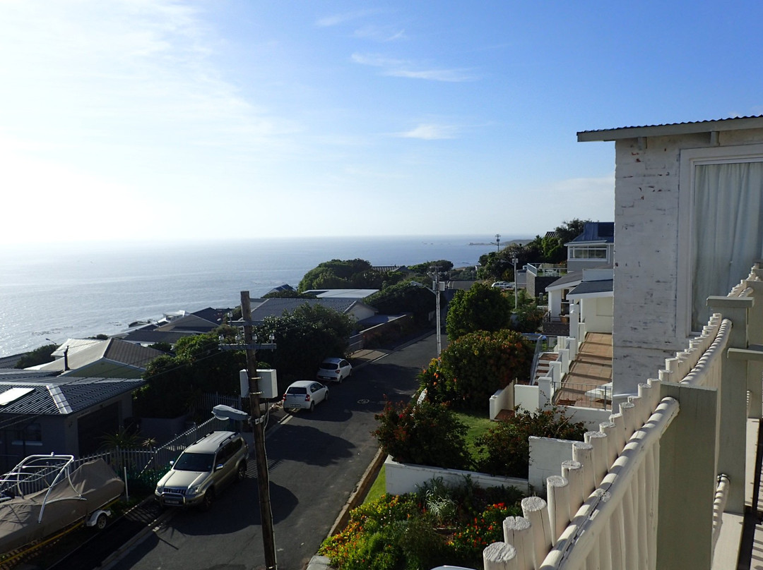 The Flying Penguin主图