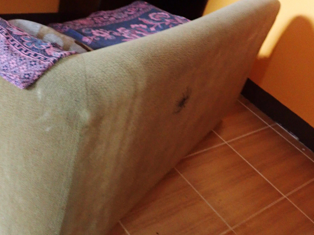 Calypso Resort主图