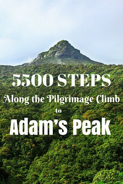 The Greendale Bungalow主图