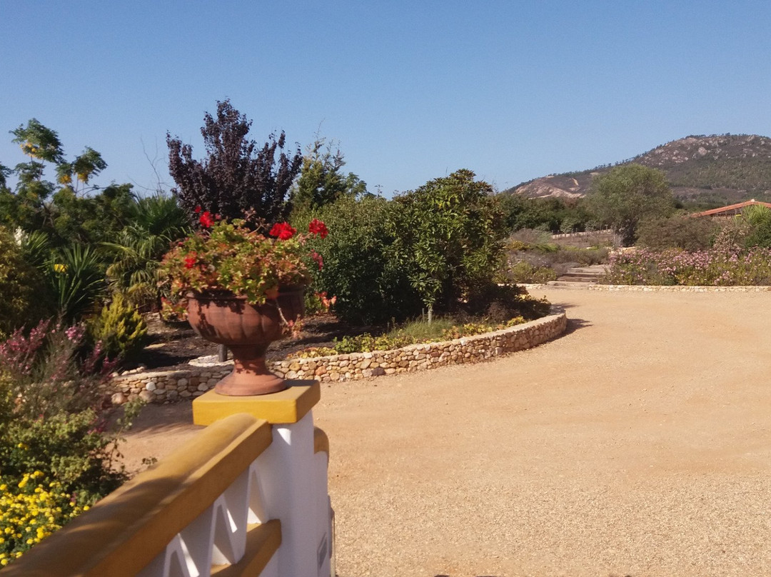 Herdade do Amarelo Nature & Spa主图