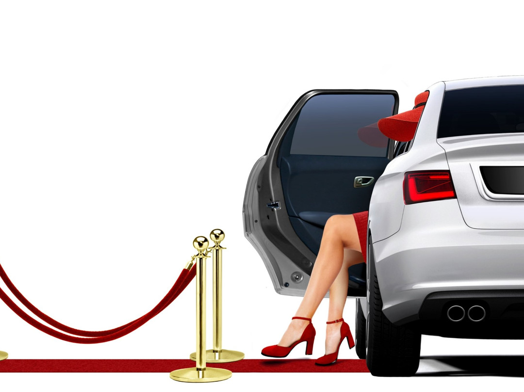 Black Bow Chauffeur-布里斯班必去景点