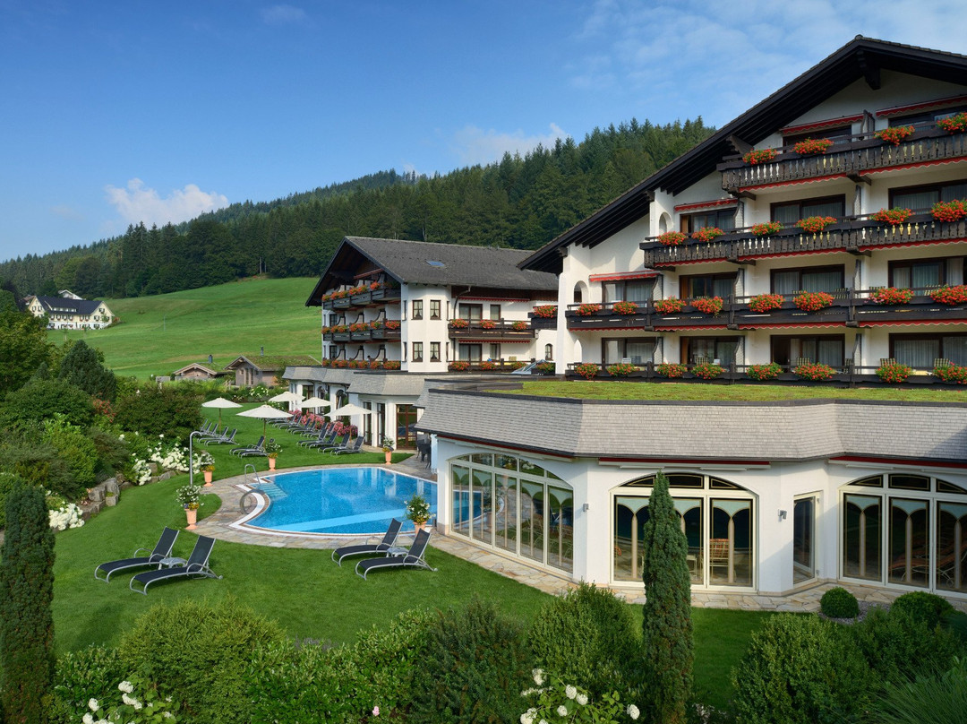 Hotel Engel Obertal主图
