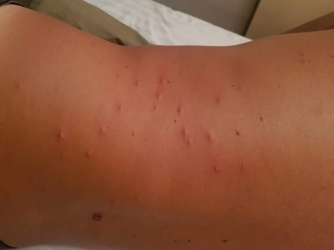 Vano Public Beach-拉普拉普必去景点